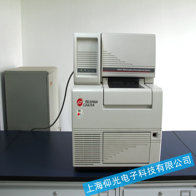 ؐ����ë�����Ӿ�x�Ӿ�岻���Q����̎������